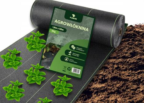 ładowanie obrazka...